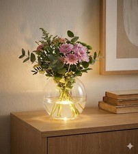 Living art led vase - rund, cm