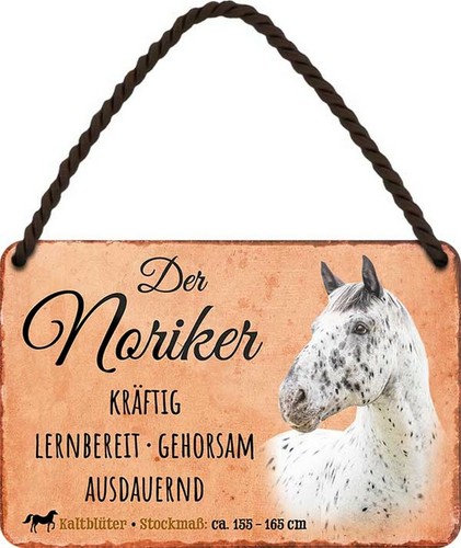 Steckbrief pferd der - steckbrief,