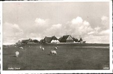 Hallig Oland  x 1957
