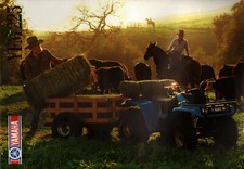 Prospekt Yamaha Motorrad Quad YFM 225