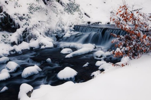 Wandbild winter forest creek - wandbild:,
