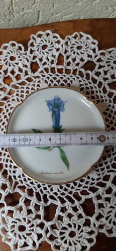 Rosenthal spalt enzian - spalt,