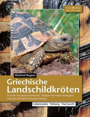 Griechische landschildkröten - griechische,