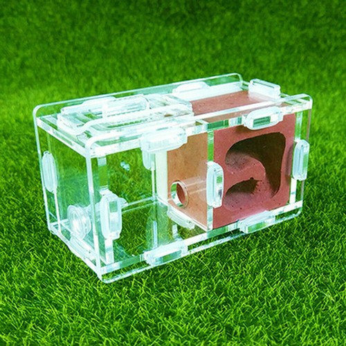Aquarium dekoration - aquarium,