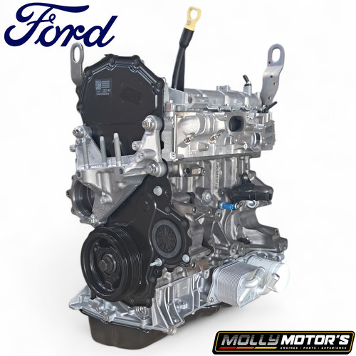 Original motor ford - motor,