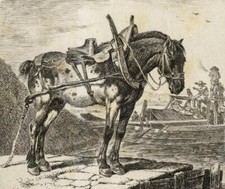 SMALL, Johann Adam - Field