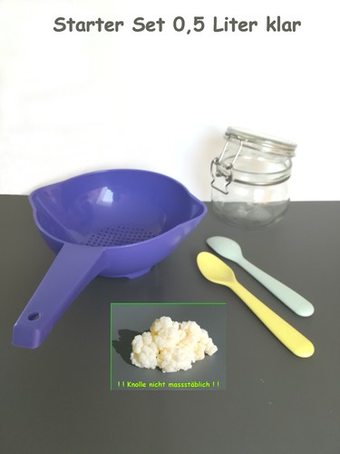 Milch kefir pilz - pilz, starter