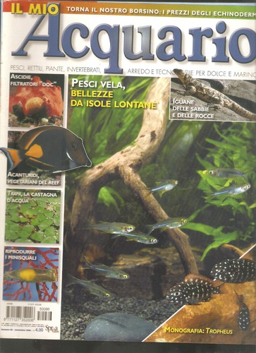 Mein aquarium november - mein, 2005