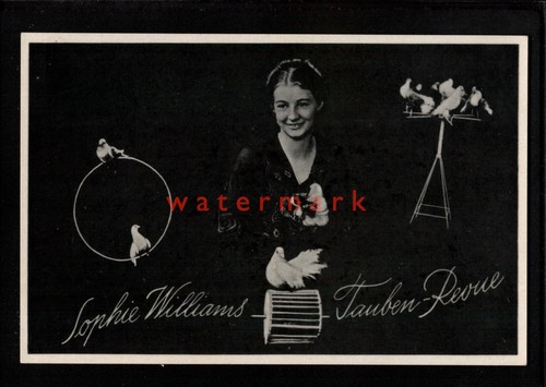 Deutschland sophie williams - "sophie,