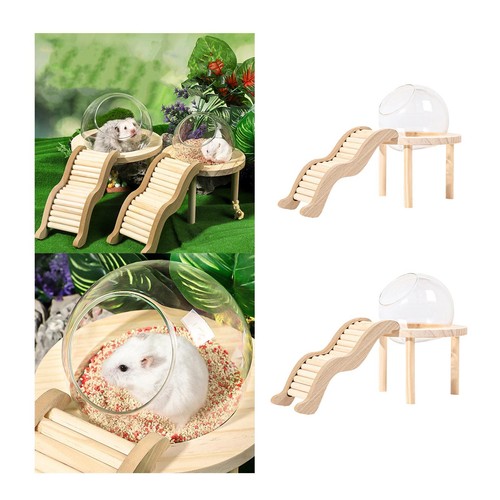 Clear glass terrarium - glass,