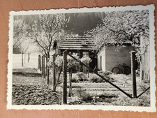 Foto Schrebergarten Fahrrad