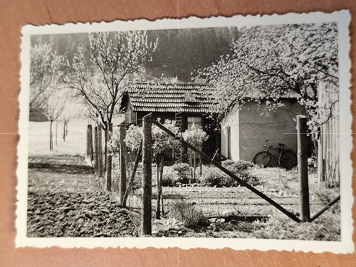 Foto schrebergarten fahrrad - schrebergarten,