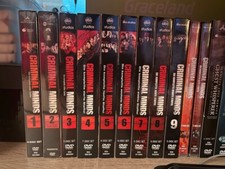 Criminal Minds Staffeln einzeln oder im Paket je Staffel 15 €