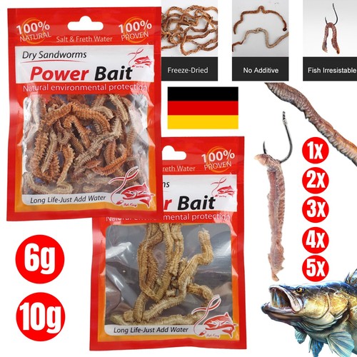 Trockene sandwürmer - trockene,