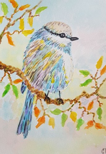 Aquarell vogel 21 cm - 21,