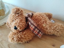 Teddybär, Bauchtasche Sunkid