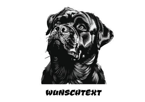 Rottweiler hundekopf - rottweiler,