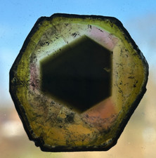 18.8 Karat Rosa Liddicoatit