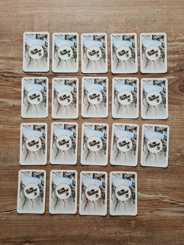 Die siedler von catan - die,