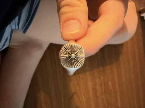 Original thomas sabo - thomas,