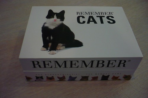 Remember cats memory - cats,