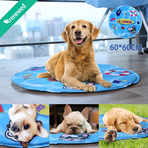 Kühlmatte für hunde - kühlmatte,