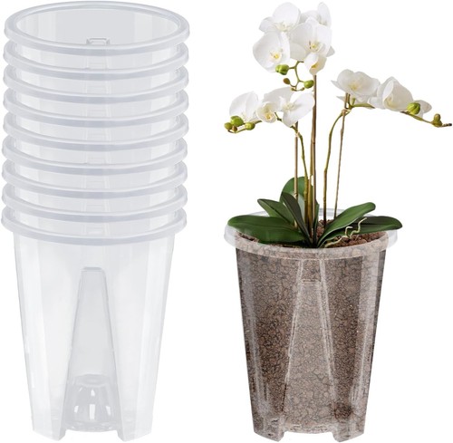 Stück orchidee - 10,