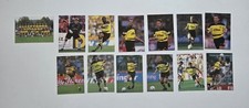 Borussia Dortmund BVB Panini