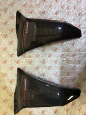 Carbon Seitenverkleidung für