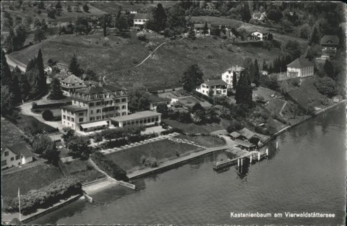 Kastanienbaum fliegeraufnahme - kastanienbaum,