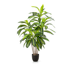 PASCH® Dracaena Kunstpalme