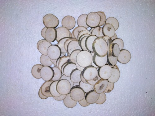 100 baumscheiben esche 4 - esche,