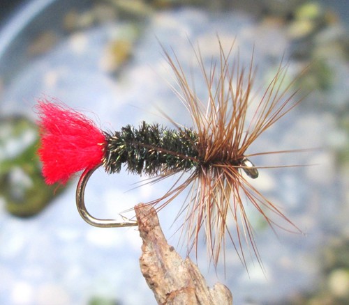 Gilchrist fliegen x - fliegen., 3