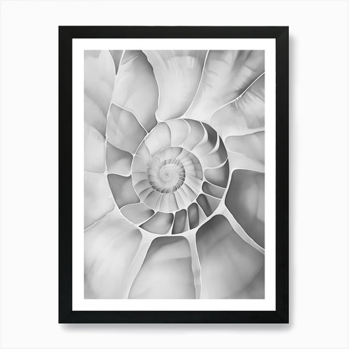 Nautilus muschel kunstdruck - nautilus,