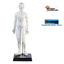 newgen medicals Akupunkturpuppe: Akupunktur-Modell Frau (Akupunkturmodell)