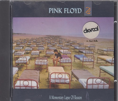 Pink floyd momentary - floyd, lapse