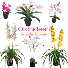 Künstliche Orchidee Pflanze Topfpflanze Kunstpflanze Pflanze Auswahl Decovego