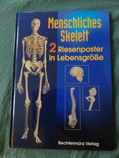 Das menschliche Skelett, interessantes Buch über die Anatomie des Menschen
