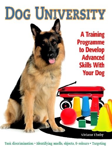 Dog university viviane - dog, university,viviane