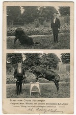 K6852 AK Gruß vom Circus