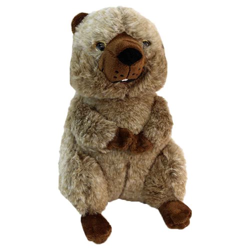Biber kuscheltier mit - biber,