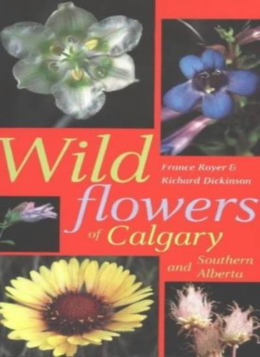 Wildflowers calgary and - wildflowers,