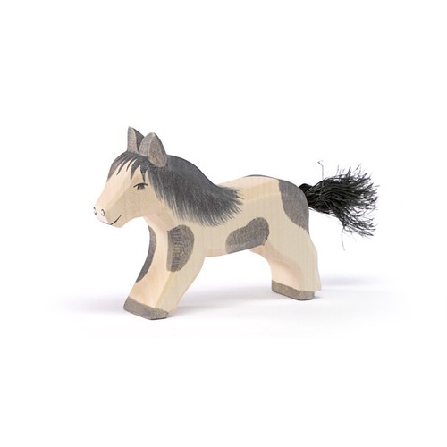 Shetland pony laufend - shetland,
