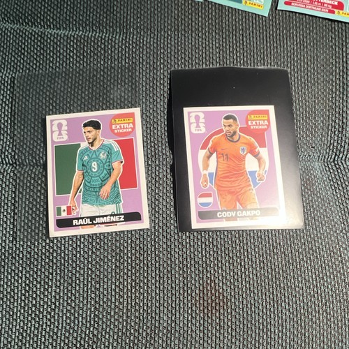 Panini fifa world cup - fifa, qatar