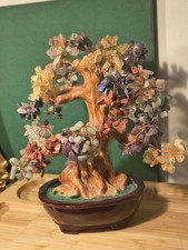 Geldbaum Bonsai Stil