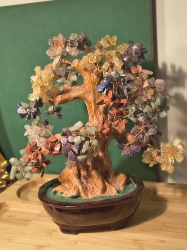 Geldbaum bonsai stil - geldbaum,