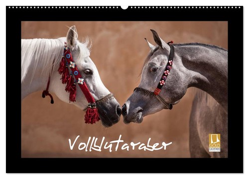 Vollblutaraber wandkalender - vollblutaraber, (wandkalender