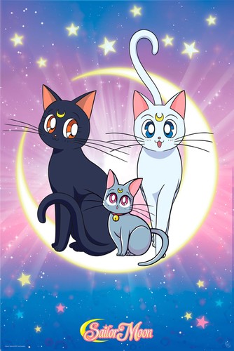 Sailor moon poster luna - -,