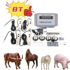 8 Tonnen Fahrzeugwaage LKW Waage Viehwaage Pferdewaage Schrottwaage Metallwaage