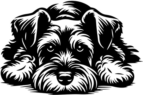 Zwergschnauzer aufkleber - zwergschnauzer,
